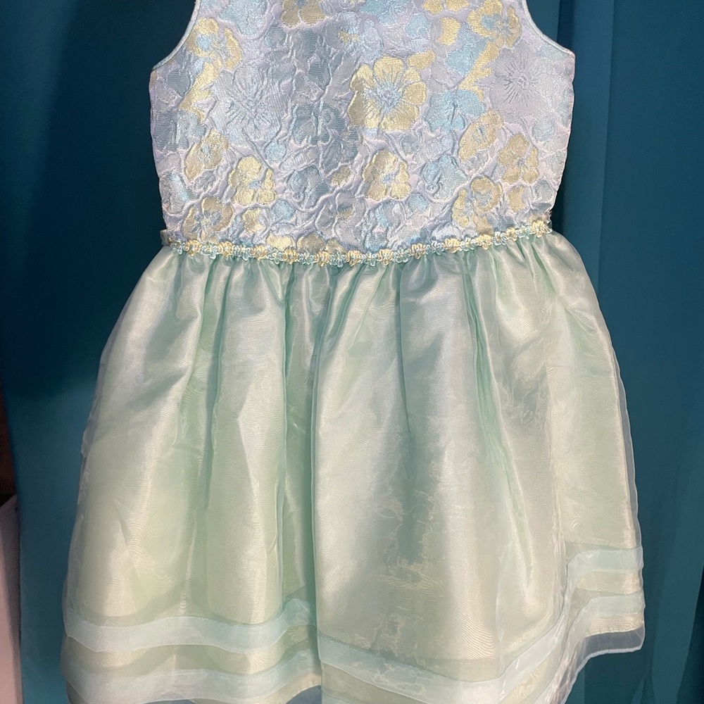 Girls Mint Green Floral Lace Party Dress